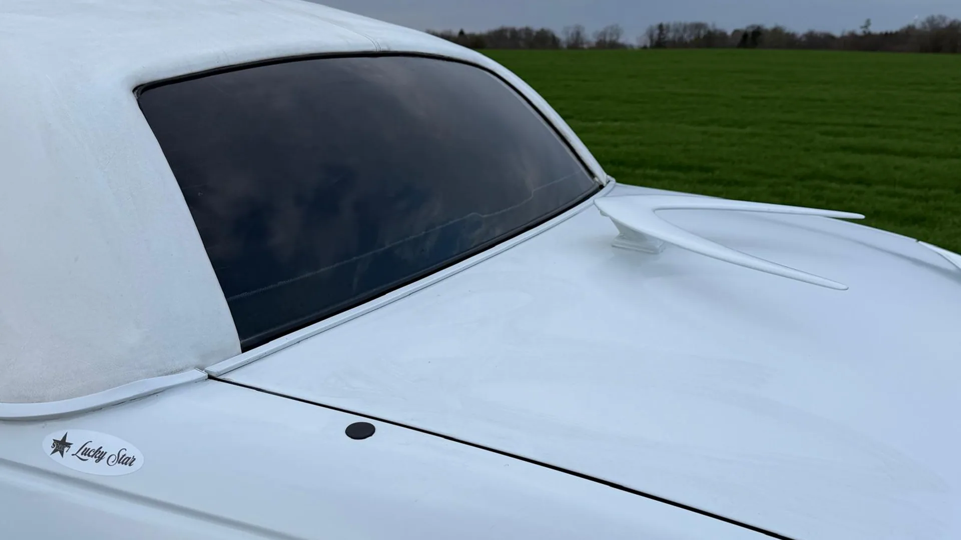 Lucky Star Stretchlimousine Heckansicht - 8,6 Meter weiße Stretchlimousine